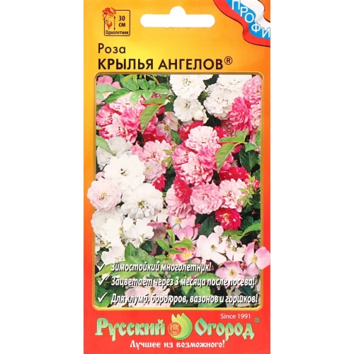 Семена Цветы Роза Крылья Ангелов, 10шт., НК