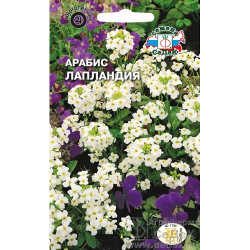 Семена Цветы Арабис Лапландия, 0,1г., Седек