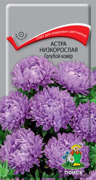 Семена Цветы Астра Голубой ковер, 0,2г., Поиск