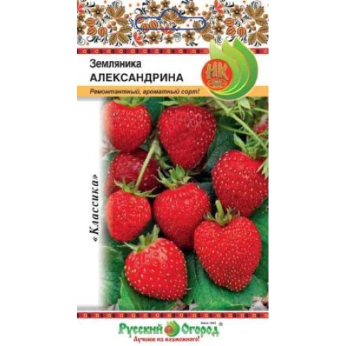 Семена Земляника Александрина, 0,05г., Русский огород