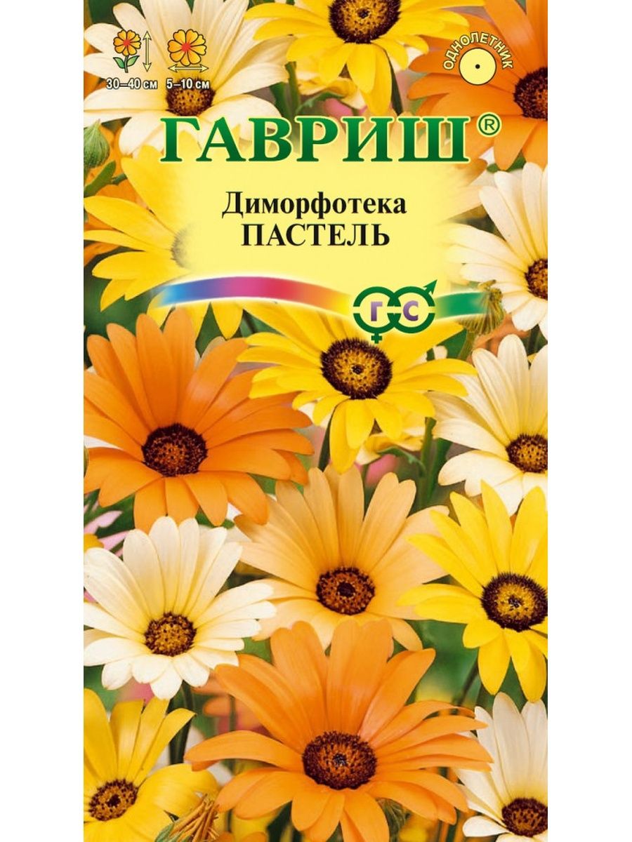 Семена Цветы Диморфотека Пастель см, 0,1г., Гавриш