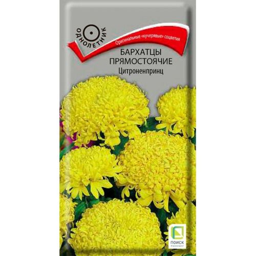 Семена Цветы Бархатцы Цитроненпринц, 0.4 г, Поиск