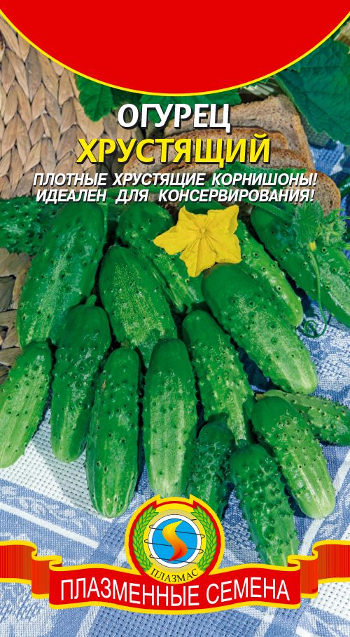 Семена Огурец Хрустящий, 12шт., Плазменные семена