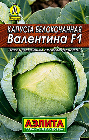 Семена Капуста белокочанная Валентина F1, 10шт., Цветущий Сад