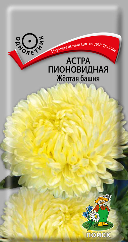 Семена Цветы Астра Башня Желтая, 0,3г., Поиск