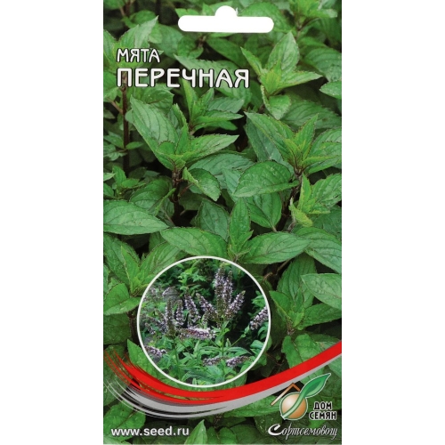 Семена Мята Перечная, 300шт., Дом Семян С-П