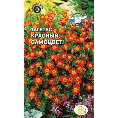 Семена Цветы Тагетес Красный самоцвет, Седек