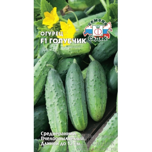 Семена Огурец Голубчик, 0,3г., Седек