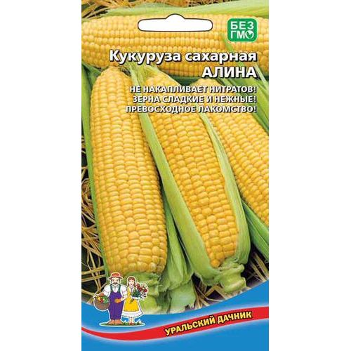 Семена Кукуруза Алина сахарная, 5г., Уральский Дачник
