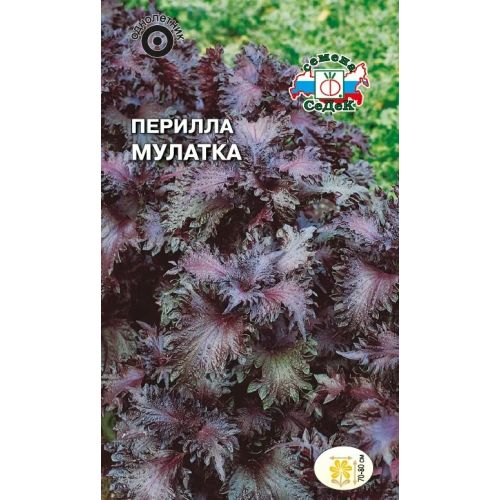 Семена Цветы Перилла Мулатка Седек 0,1г