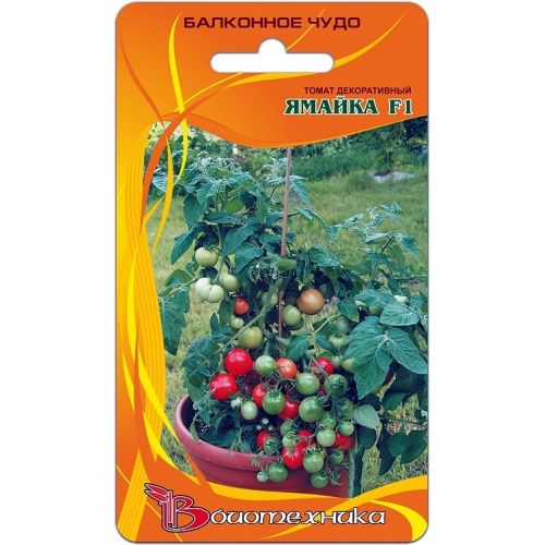 Семена Томат Черри Балконное чудо Ямайка, 15шт., Биотехника