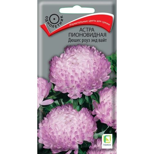 Семена Цветы Астра пионовидная Дюшес роуз энд вайт, 0.3 г, Поиск