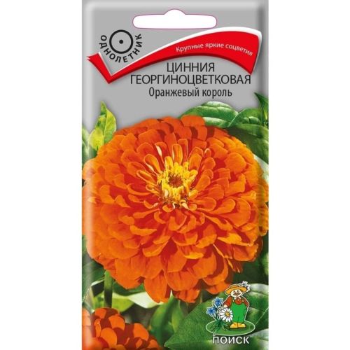 Семена Цветы Цинния Оранжевый король, 0.4 г, георгиноцветковая, Поиск