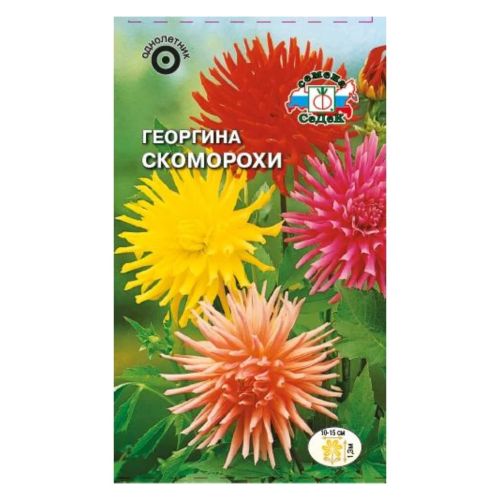 Семена Цветы Георгина Скоморохи, 0.2 г, кактусовидная смесь, Седек
