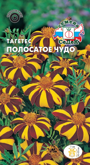 Семена Цветы Бархатцы Полосатое Чудо, 0,1г., Седек