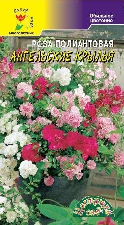 Семена Цветы Роза Ангельская, 8шт., Урожай Удачи	