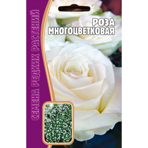 Семена Цветы Роза Многоцветковая б/ф, 7шт., Решение