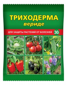 Средство защита от болезней Триходерма вериде БИО (для рассады) 30гр природный антибиотик