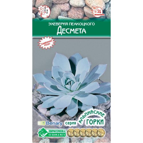 Семена Цветы Эхеверия Десмета, 5шт., ЕВРОСЕМЕНА