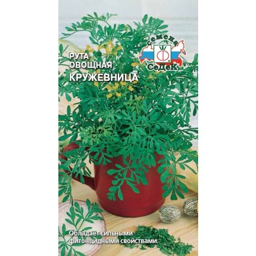Семена Рута овощная Кружевница 0,1г., Седек