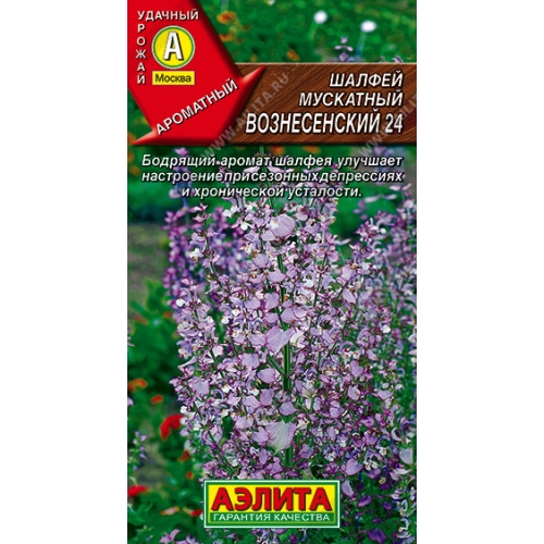 Семена Шалфей Вознесенский 24, 0,2г., Аэлита
