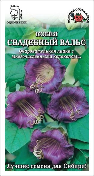 Семена Цветы Кобея Фиолетовая Свадебный Вальс, 0,3г., Золотая Сотка Алтая