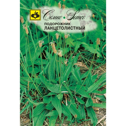 Семена Подорожник Ланцетолистный, 0,5г., Семко