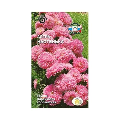 Семена Цветы Астра Настенька Седек 0,2г