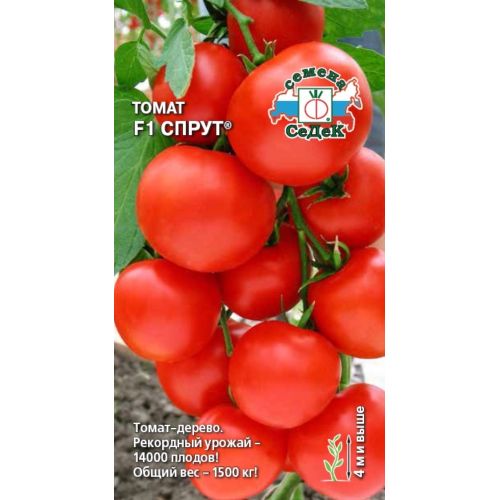 Семена Томат Спрут Томат-Дерево, 0,03г., Седек