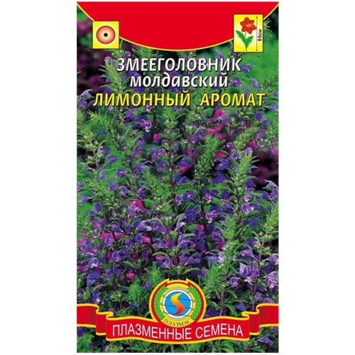 Семена Змееголовник Лимонный аромат, 0,3г., Плазменные семена