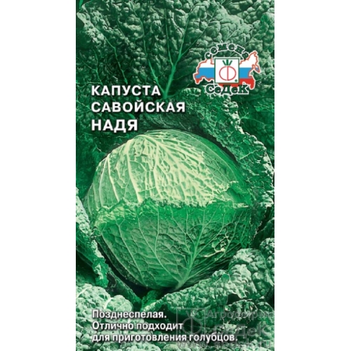 Семена Капуста савойская Надя F1, 1г., Седек