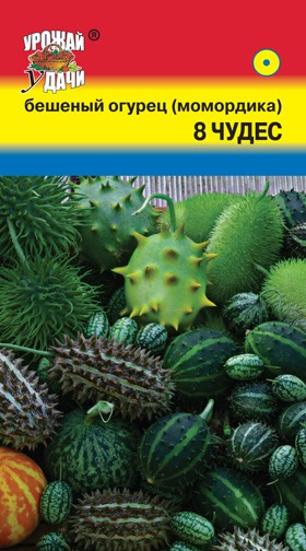 Семена Цветы Бешеный Огурец (Момордика) 8 чудес см, 0,05г., Урожай Удачи