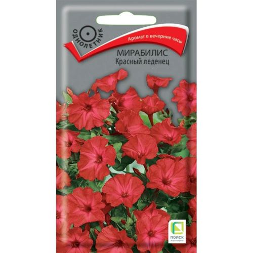 Семена Цветы Мирабилис Красный леденец, 1 г, Поиск