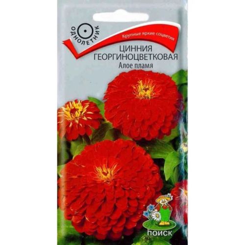 Семена Цветы Цинния Алое пламя, 0.4 г, георгиноцветковая, Поиск