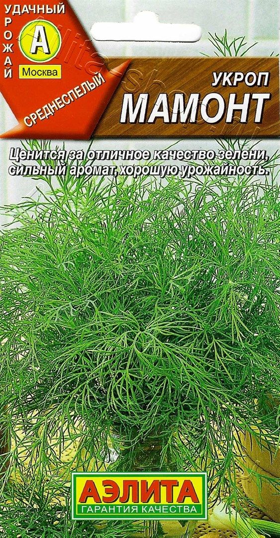 Семена Укроп Мамонт, 2г., Цветущий Сад