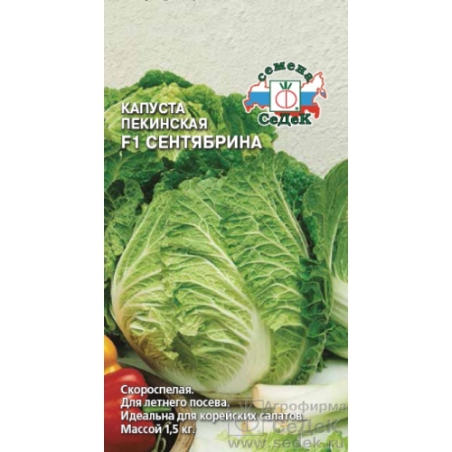 Семена Капуста пекинская Сентябрина, 0,3г., Седек