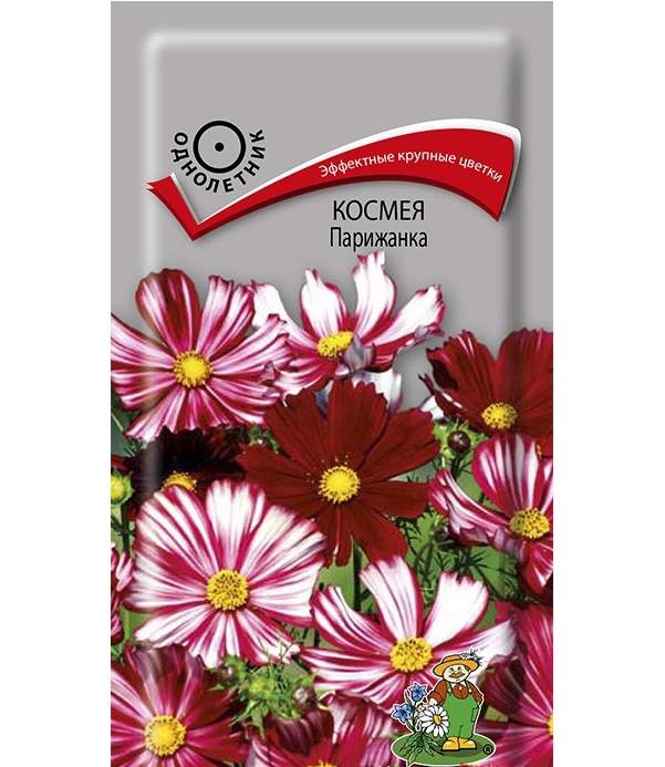 Семена Цветы Космея Парижанка, 0,1г., Поиск