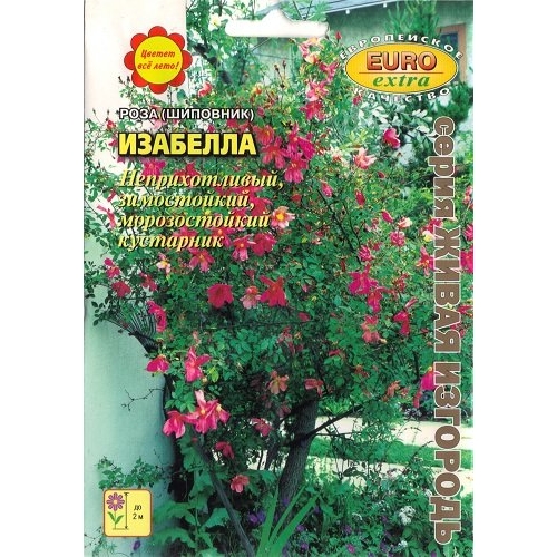 Семена Цветы Роза Изабелла б/ф, 0,1г., Аэлита Э