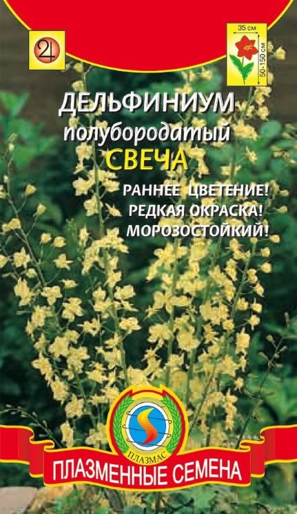 Семена Дельфиниум Свеча полубородатый, 7шт., Плазменные семена