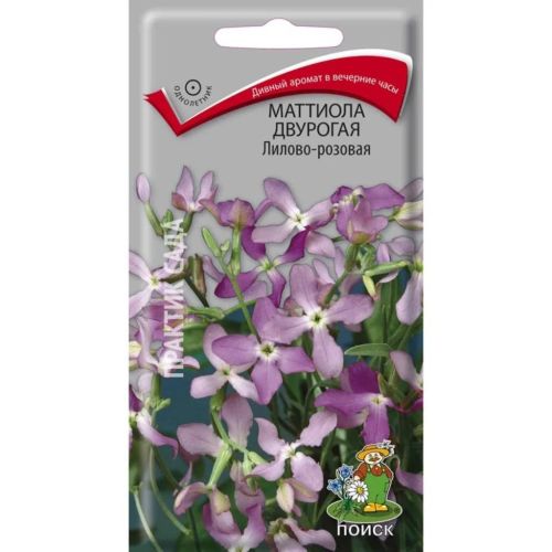 Семена Цветы Маттиола Лилово-розовая 0.3 г, двурогая, Поиск