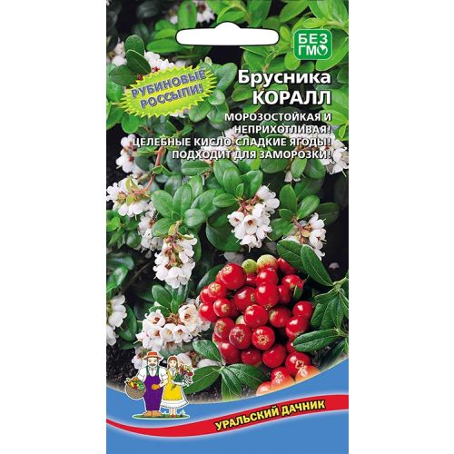 Семена Брусника Коралл, 20шт., Уральский Дачник
