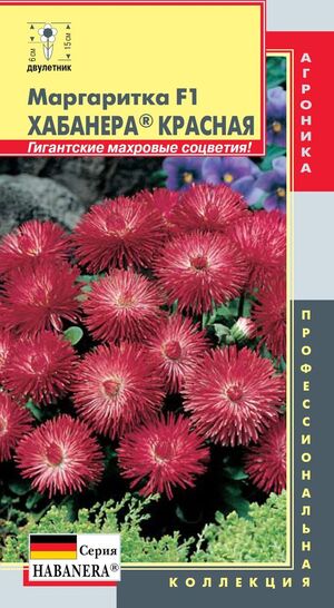 Семена Цветы Маргаритка Хабанера Красная, 5шт., Плазменные семена