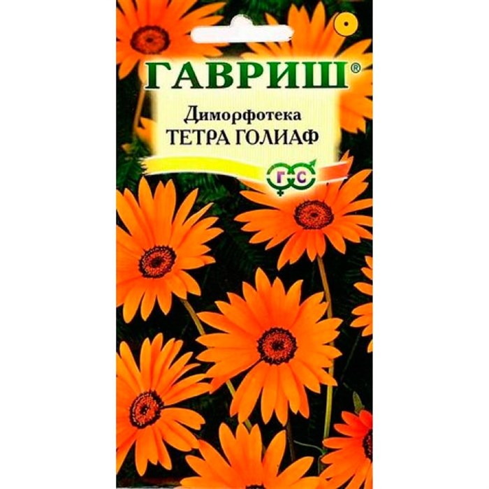 Семена Цветы Диморфотека Тетра Голиаф, 0,1г., Гавриш