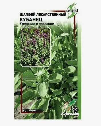 Семена Шалфей лекарств Кубанец 15шт Дом Семян