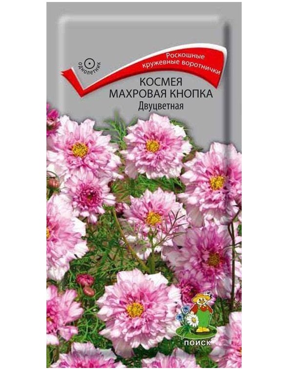 Семена Цветы Космея Кнопка Двуцветная махр, 0,1г., Поиск