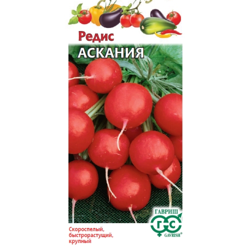 Семена Редис Аскания, 1г., Гавриш