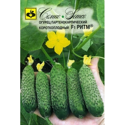 Семена Огурец Ритм F1, 10шт., Семко