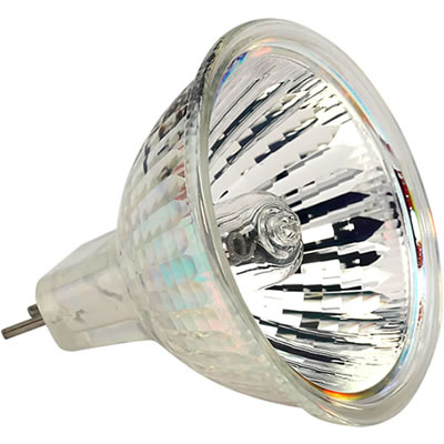 bulb.jpg