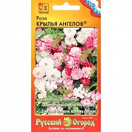 Семена Цветы Роза Крылья Ангелов, 10шт., НК
