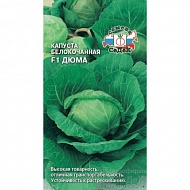 Семена Капуста белокочанная Дюма, 0,05г., Седек